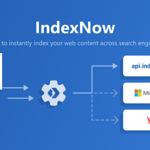All In One SEO premium